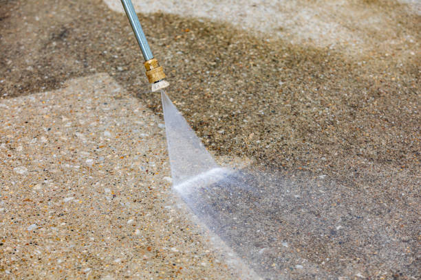 Animal Enclosure Cleaning in Greenville, SC